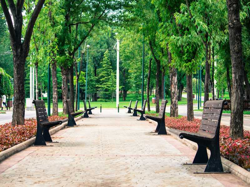 الحديقة الثقافية Kültürpark